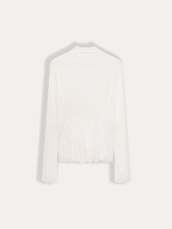 Водолазка (2790V)